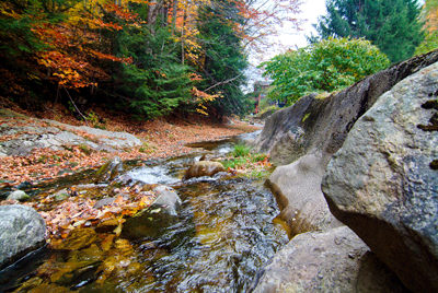 Image Concealment Films - MH Studios